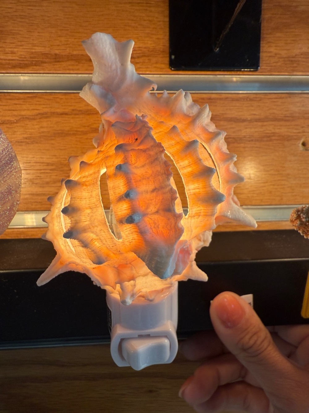 Pink Murex Seashell Night Light